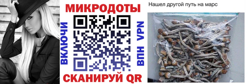 Галлюциногенные грибы MAGIC MUSHROOMS  Жирновск 